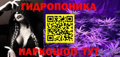 прущие грибы Среднеуральск