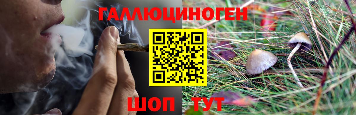 Галлюциногенные грибы Magic Shrooms Алексин